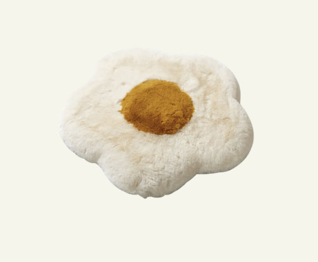 Seat Cushions | Cute Fried Egg Shaped Cushion | Plush Seat Pad and Decorative Throw Pillows